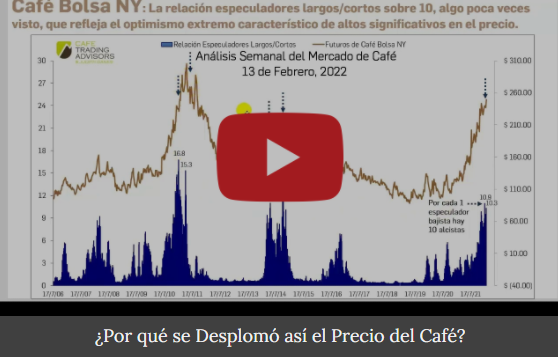 Café Trading Advisors & Judith Ganes tweet media