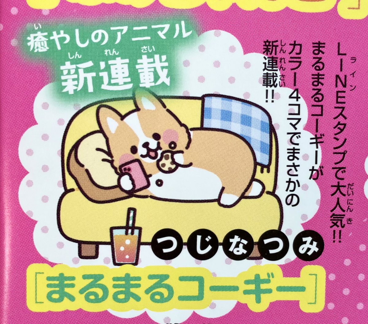 朝9時までに売れなければ300円早押し対決❗️　「こんにちは！君だけのコーギー」 カレンダー2026 癒やしのウェルシュ・コーギー(月めくり/壁掛け/600mm