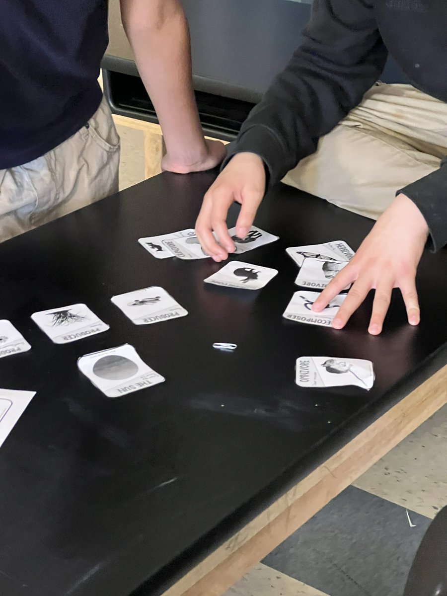 Students learned about food webs and the movement of energy and matter during station labs this week. Today we went over the information and fixed some misconceptions. I gave them a 10 minute practice to show me what they had learned. They did great.