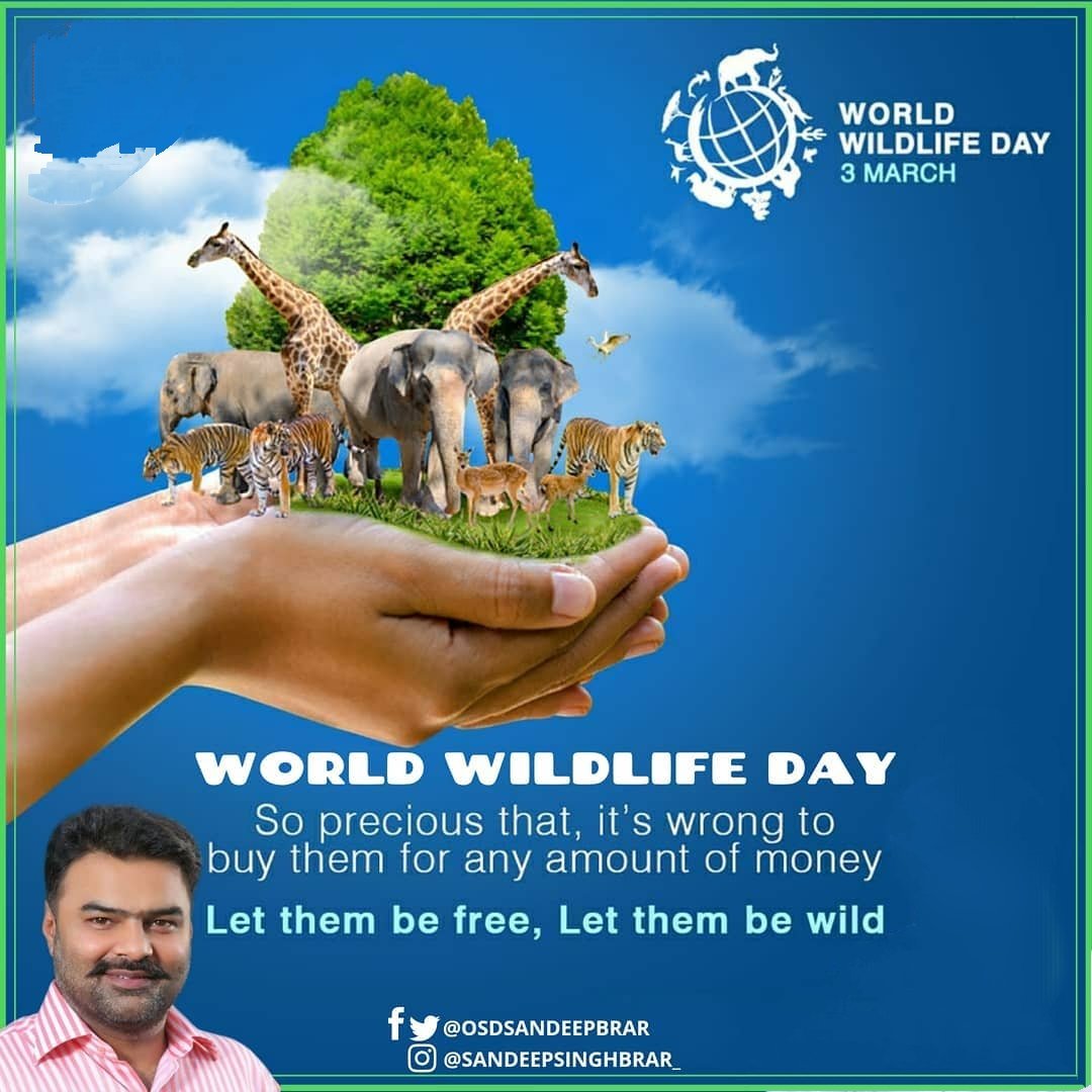 On the occasion of #WorldWildlifeDay, To maintain the balance of nature, we should take pledge to keep them safe and protected while being kind to the wildlife. #wildlifeday