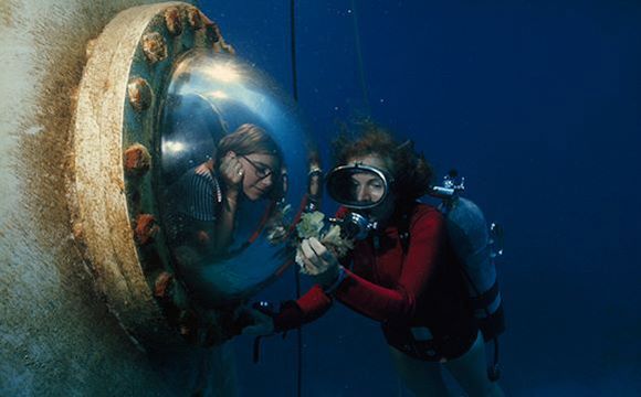 SylviaEarle's tweet photo. I've had the joy of spending thousands of hours under the sea. I wish I could take people along to see what I see, and to know what I know. https://t.co/inNl2zSMW6