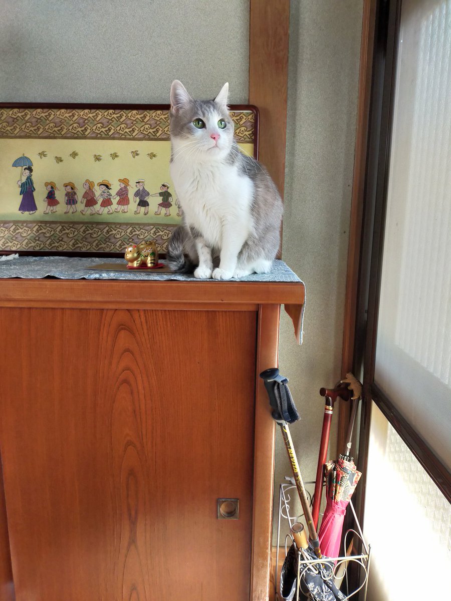 今日のお出迎えはマリ様でした☺
ただいま！