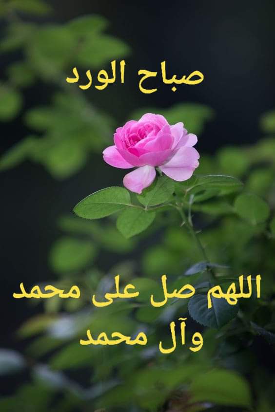 ما أجمل الصباح حين تهدي دعاء جميلا :
👈 اللهم إنّا نسألك صباحاً يتجلّى فيه لطفك ، ويتسع فيه رزقك ، وتمتد فيه عافيتك ،ونستفتح فيه برحمتك" 

👈أصبحنا بخيرك الدّائم ، ولطفك الخفيّ ، و بك نظنّ الظّنّ الجميل ، فتولّنا يا الله يا كريم 
🌷صباح الخير و البركة 🌷