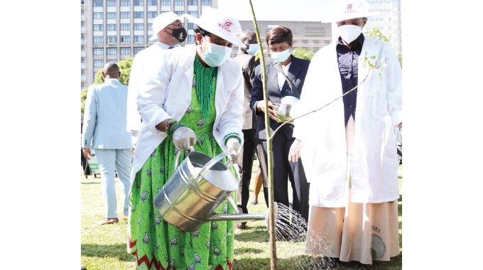GogoNdomupei's tweet photo. A pragmatic and hands-on person who leads by example, the @ZimFirstLady planted trees in Africa Unity Square and addressed a gathering on the need for cleanliness and to shun drugs and domestic violence which were rearing an ugly head in communities
#CleanEnvironments https://t.co/fO0llttfJU