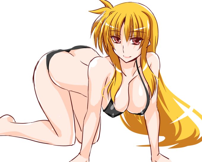 フェイトさん黒ビキニ。
ちょっとした差分をFANBOXにアップしました～ 