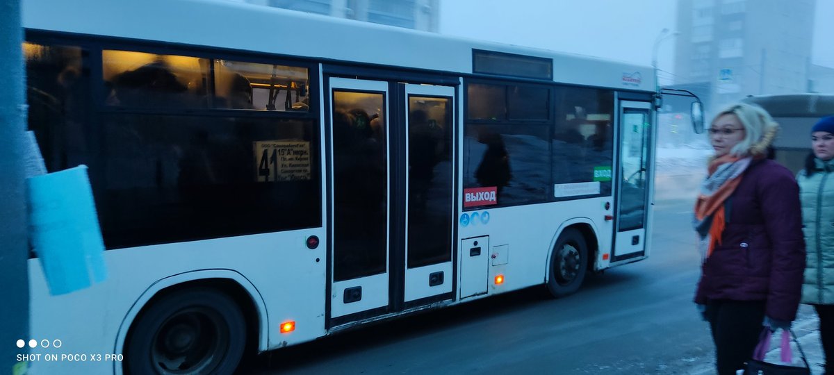 Алиса tweet media