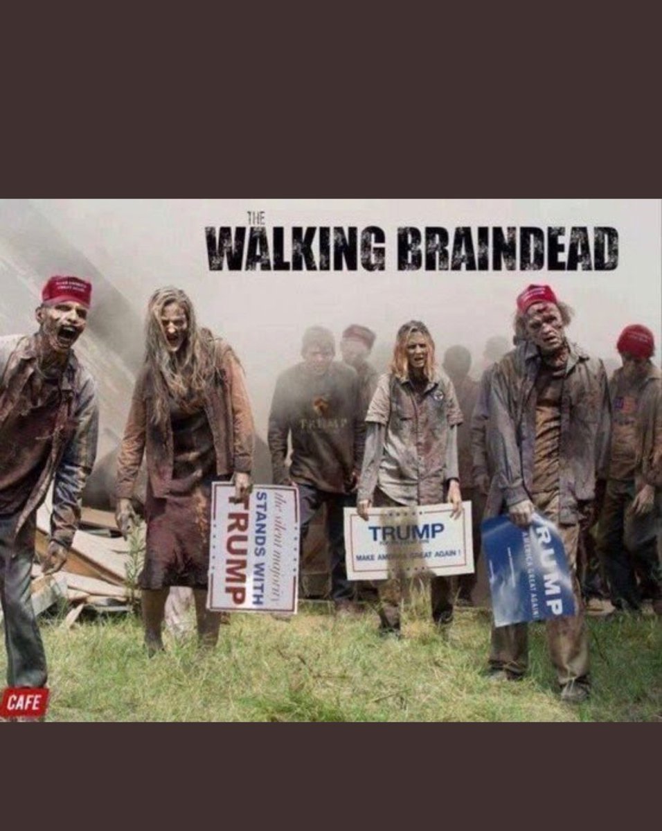 dan browne tweet media