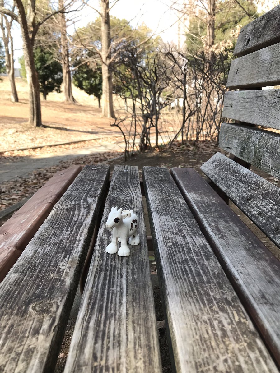 高瀬朝季のsns ブログ Twitter