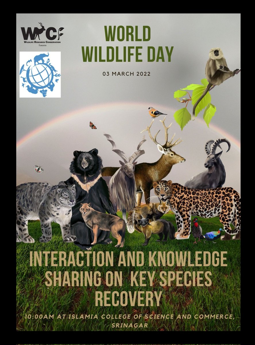 Celebrating natures greatest treasure on this World Wildlife Day with students of Islamia College of Science and Commerce. 
This year's theme is Recovering Key Species for Ecosystem Restoration. 

#wwd2022 #wildlifeday2022 #jkwildlife #worldwildlifeday
#withwildjk #wrcf