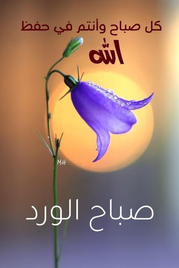 زبن الشاهر (@zabn1551) on Twitter photo 