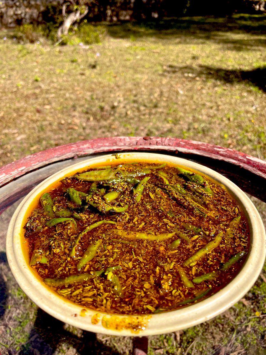 At a stage in fieldwork, where I am making Mirch ka Achaar (chilly pickles) to subside uncertainty and longstanding grievances one accumulates while working. It's genuinely worthwhile for wellness.

Otherwise, Maa is both nervous and excited for a tough competitor this summer 😎