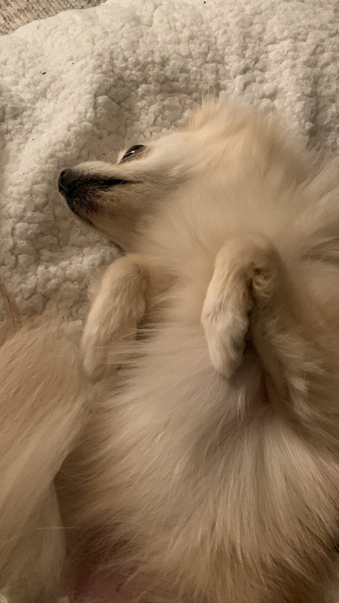 Penny ☁️ tweet media