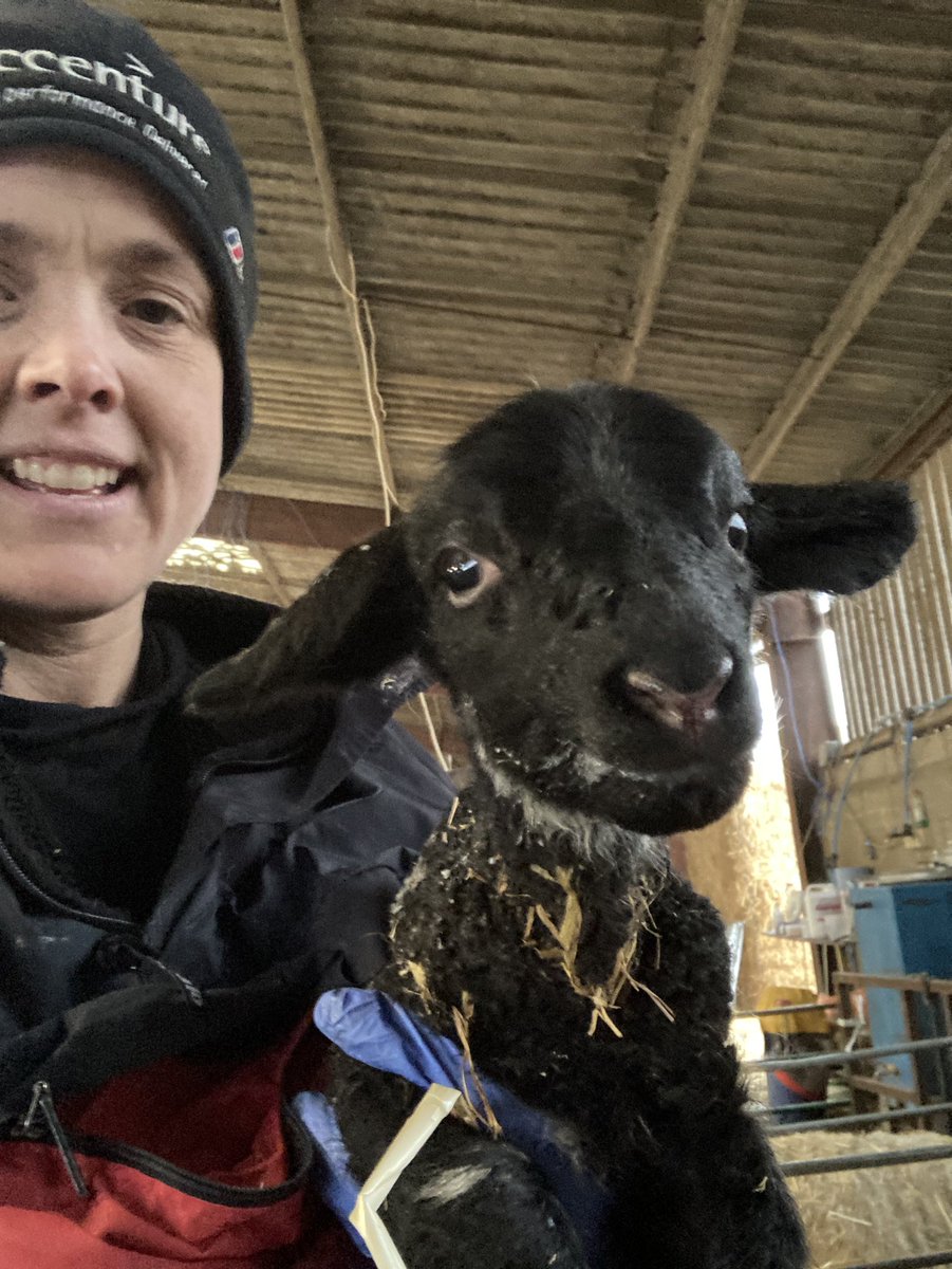 Married to a farmer. Helping out with lambing is one of my favourite seasons.
