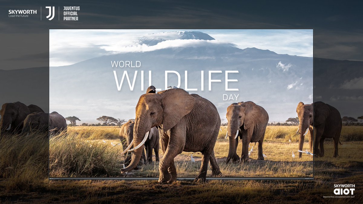 It's #WorldWildlifeDay – and this year's theme is "recovering key species for ecosystem restoration". Let's stop scrolling for a minute to think of ways that help conserve some of the endangered species of wild fauna and flora. Share your thoughts in the comments below! 👇🏼