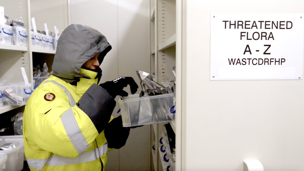 Kings Park tweet media