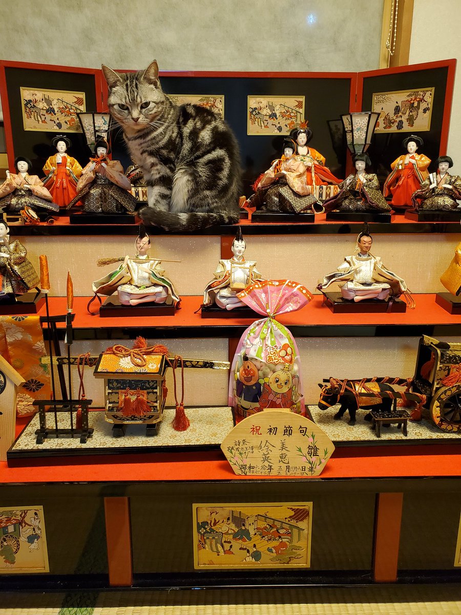 ひな祭りの日にお雛様になりすましている猫さんたちを集めました Togetter ひな祭りの日にお雛様になりすましている猫さんたちを集めました Togetter