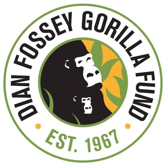 Josh_Backman's tweet photo. Invitation⦠accepted!!
@SavingGorillas x @SpacePoggersNFT Discord AMA time and date to be announced soon!
So stoked about this #gorillatribe π¦
Hope we can put on a knockout show
@SavingGorillas @SpacePoggersNFT @BUILTBYQUANTUM #VotePoggers #savinggorillas #qNFT #RILLAZ https://t.co/svYD5Yli9N