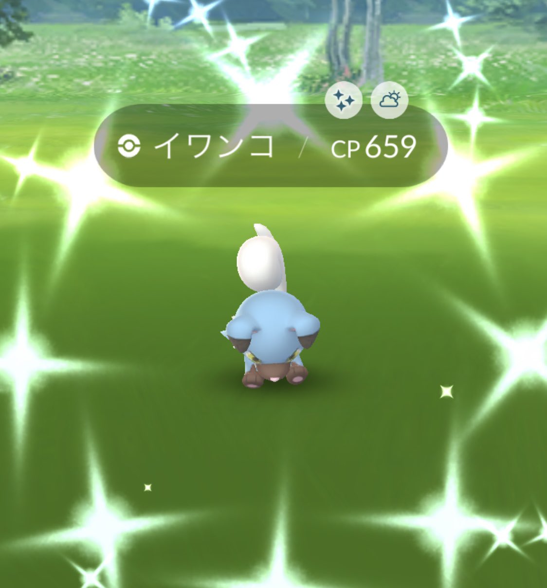 ポケモンgo部 ロケットニュース24 イワンコの色違いキタ 54匹目でした 俺ルールだと進化系のルガルガン含めて4つ必要だからまだまだ行くぜ サンジュン T Co 2wlubljeuu Twitter ポケモンgo部 ロケットニュース24 イワンコの色違いキタ 54匹目でした 俺ルールだと進化系のルガルガン含めて4つ必要だからまだまだ行くぜ サンジュン T Co 2wlubljeuu Twitter