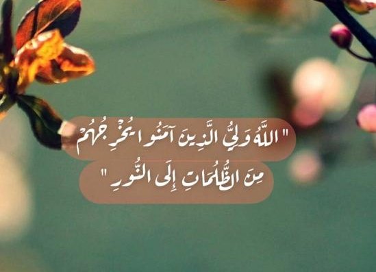 صباح الهدى🦋