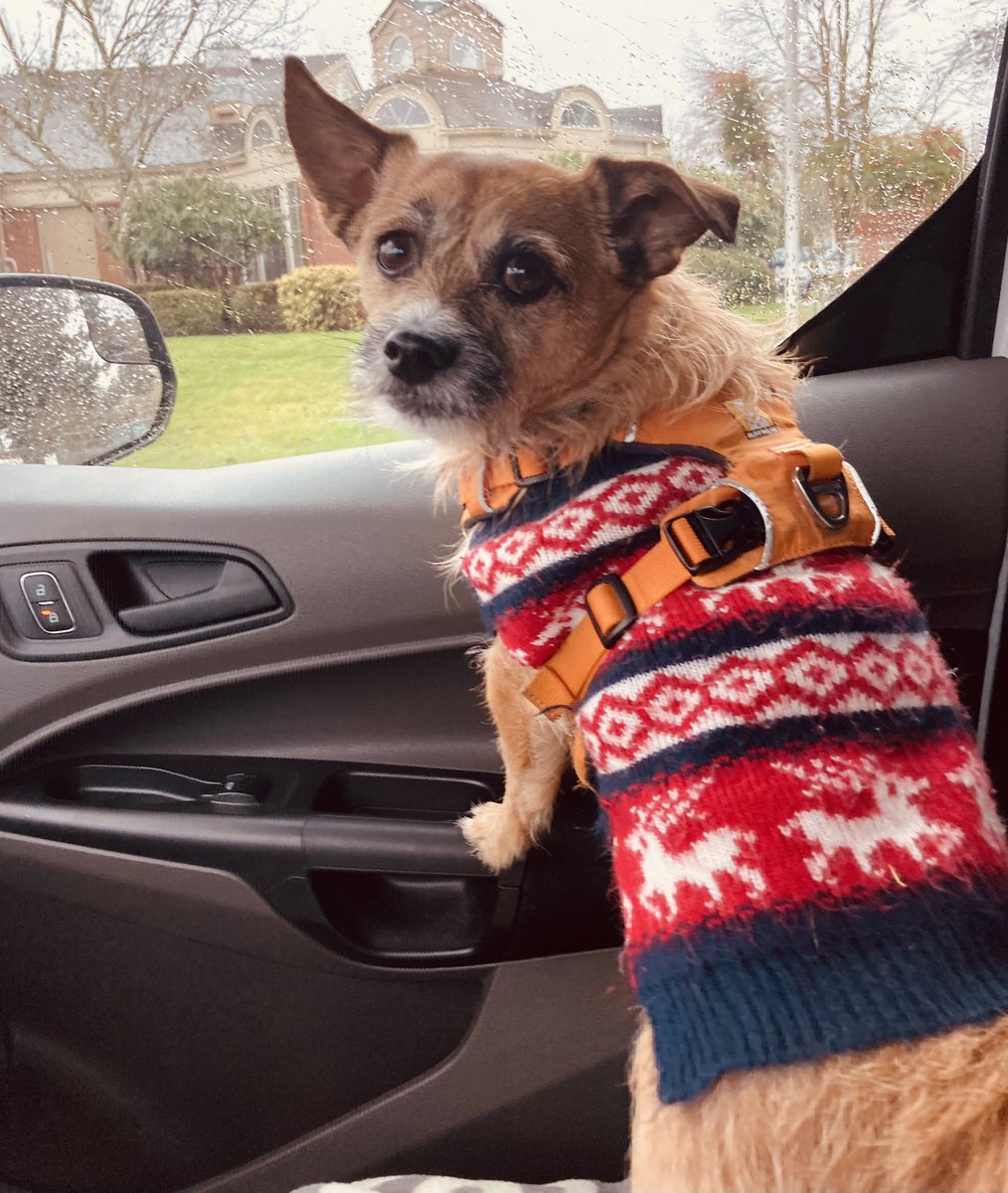 Our beer delivery &amp; sales call co-pilot today! <a href="/Sagan34/">Sagan</a> #BreweryDog #DogIsMyCopilot #OregonCity #SupportYourLocalBrewery