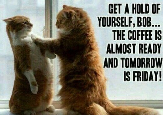 Happy Thursday💋💋 https://t.co/MMSDlVL9sH<a href="/tag/sugaroverload"class="tags"><span>#sugaroverload</span></a>