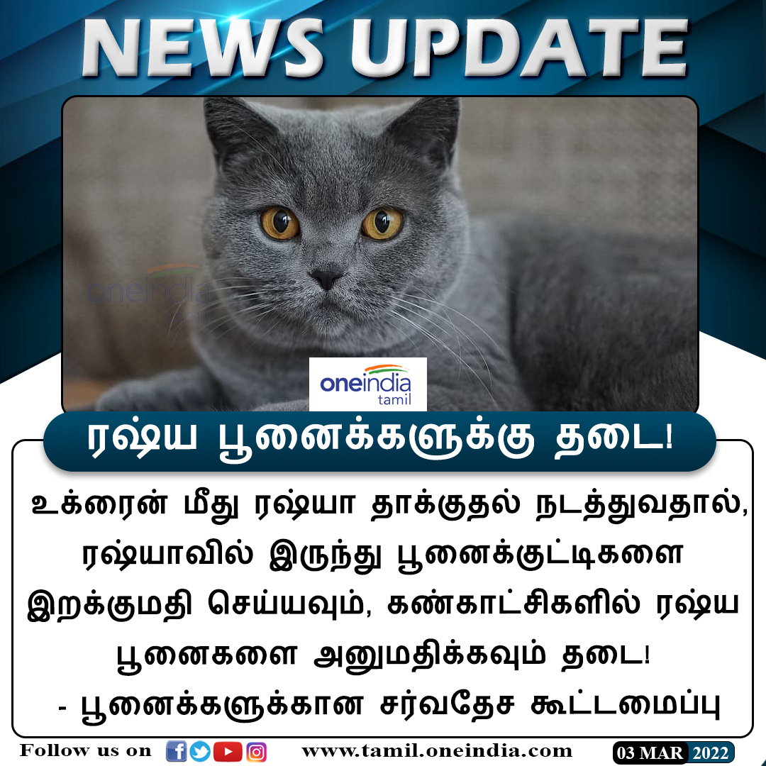 thatsTamil's tweet photo. #NEWSUPDATE |
ரஷ்ய பூனைக்குட்டிகளுக்கு தடை!
https://t.co/JTGrgUZDRr | #RussianCat | #RussiaUkraineWar | #Oneindiatamilupdates https://t.co/zLnVNCHldR