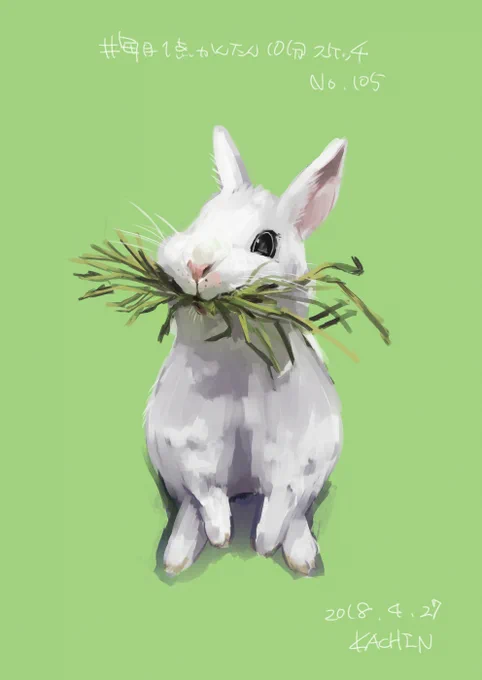リアルうさちゃん🐰
#うさぎの日 