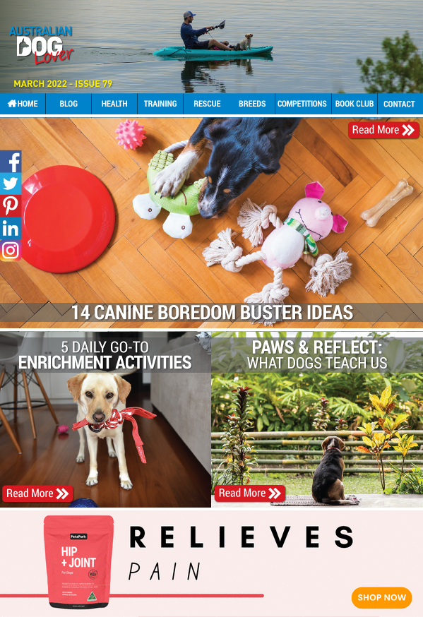 OzDogLover's tweet photo. #AustralianDogLoverMagazine Mar 2022 is out: https://t.co/Fa4FS0MO9G
14 Canine Boredom Busters👅🐕, 5 Daily Enrichment Activities, Animal Poison Prevention Month, Paws &amp; Reflect, Walk4Paws 🐾Challenge, Adventure Dog 2022, Review: #PetzyoAU #dogfood..
➕🎁Win a #FitPAWS #K9FITbone https://t.co/wfdyIVdXmz