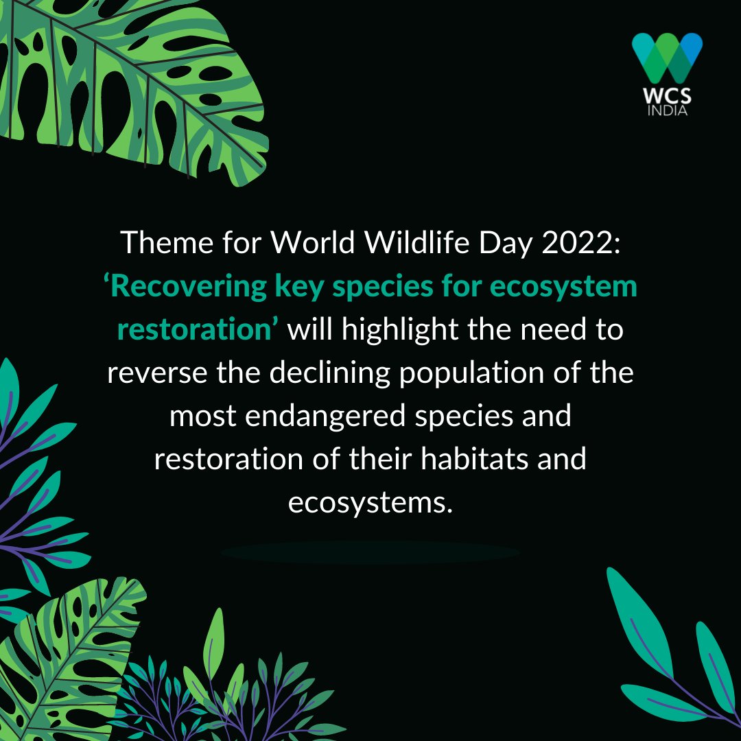 WCS-India tweet media