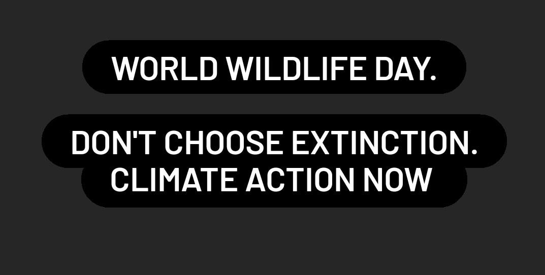 10mae_greenkid's tweet photo. Humanity has wiped out 60% of mammals,reptiles,fish & bird species since 1970.
Atleast 900 species have gone extinct since the last five centuries.
14% of terrestrial species will suffer extinction if temperatures rise 1.5ยฐC above preindustrial levels.
#WorldWildlifeDay
(1/n) https://t.co/8J1n1d9RbZ