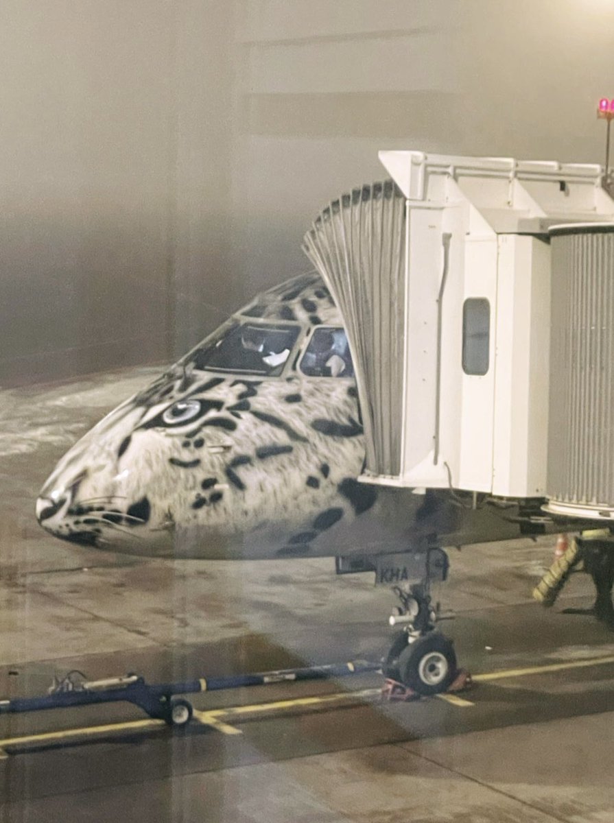 Look at this! Awesome airplane with snow leopard picture 🙏🏻

#snowleopard #NFTs #NFTCommunity #nftcollector #nftqazaq