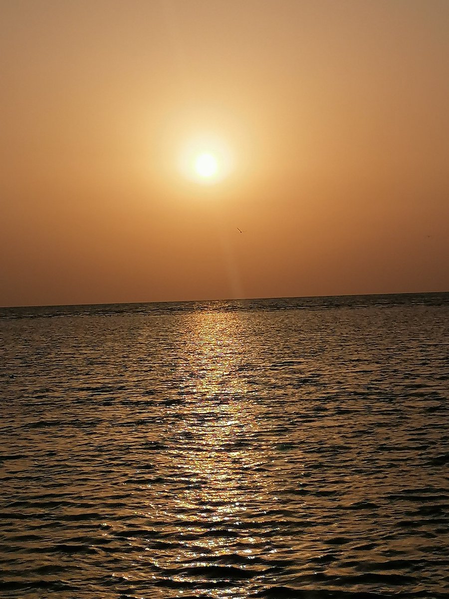 adnt4 tweet picture