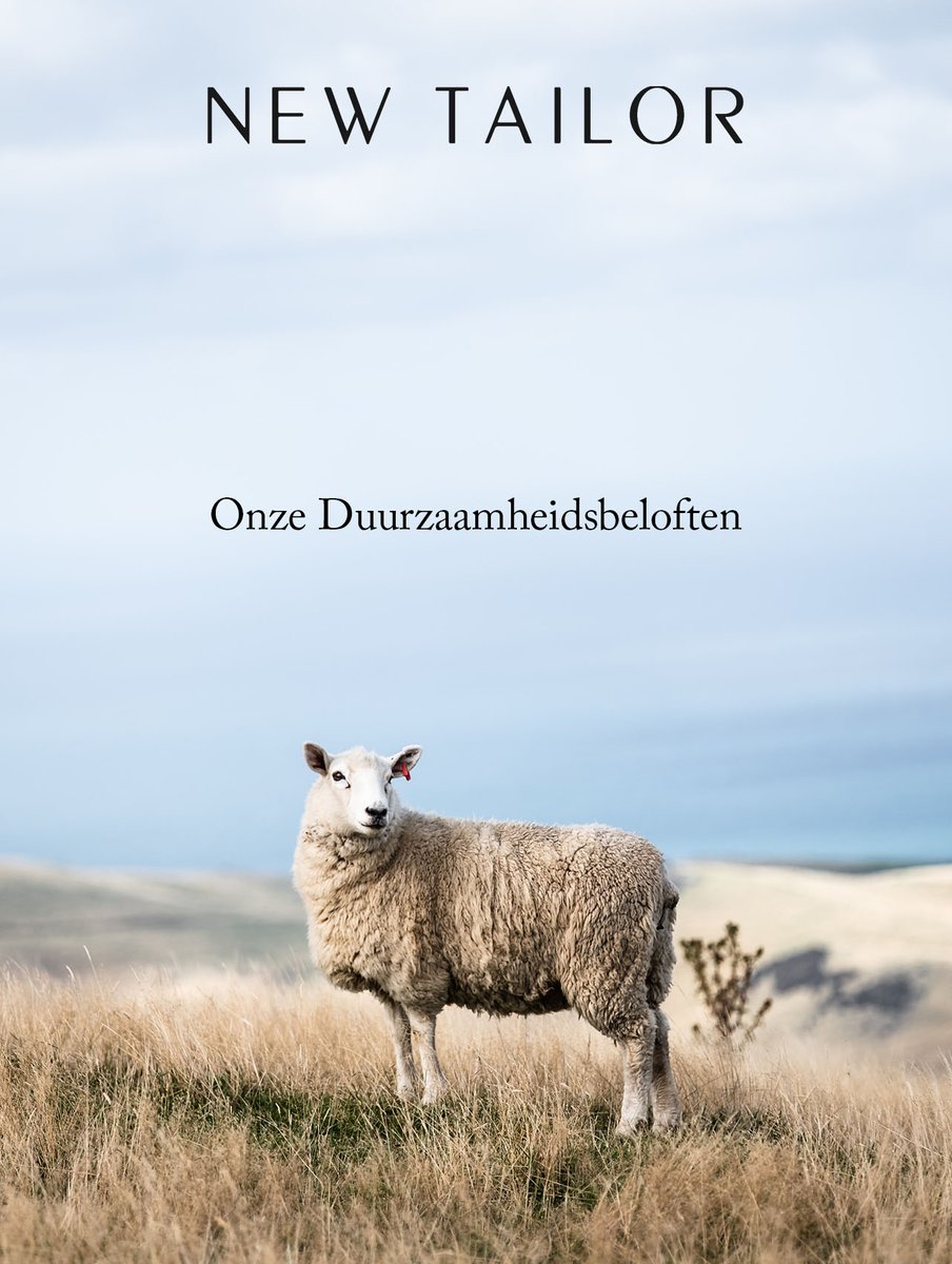 NEW TAILOR tweet media