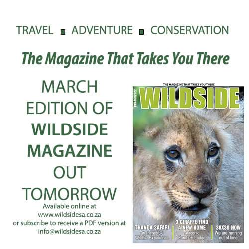 WildsideM's tweet image. #travelislife #nature #conservation
#themagazinethattakesyouthere
