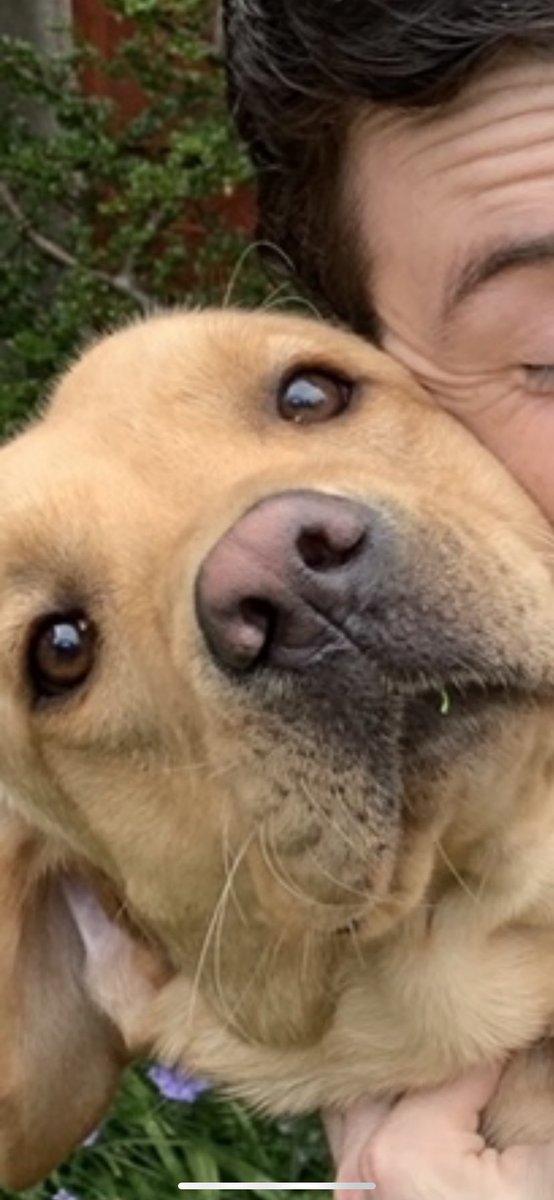 Megantron tweet media