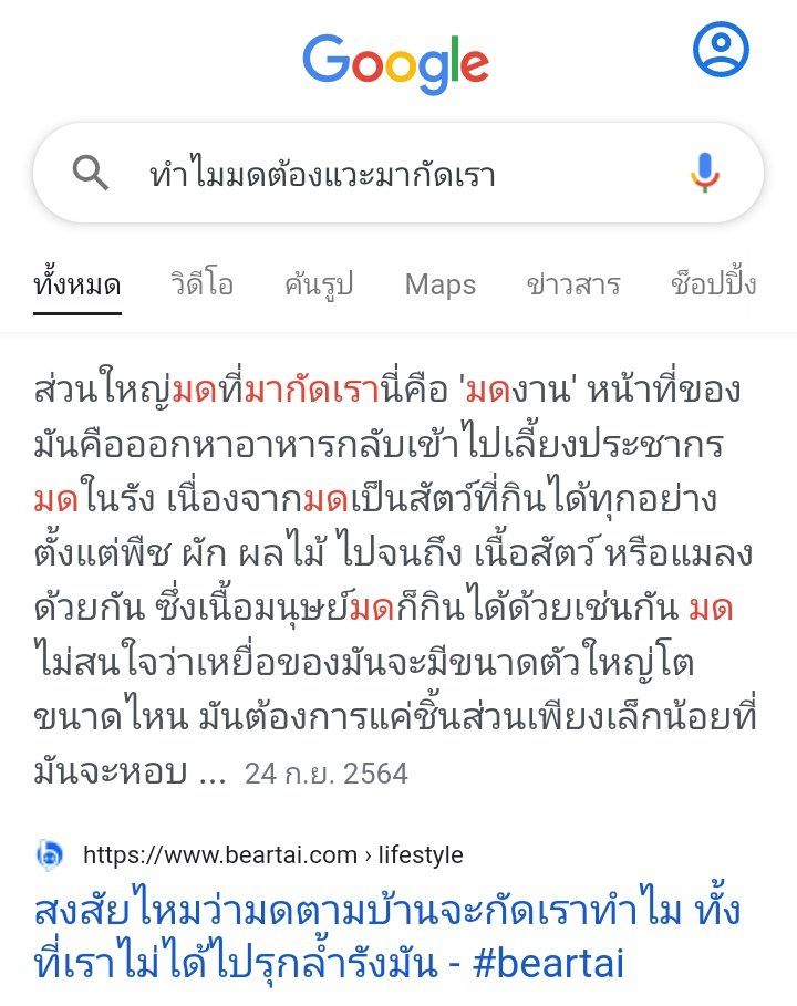 สงสัยว่าเรานั่งอยู่เฉย ๆ ยังไม่ทันได้ทำไรให้ทำไมมดมันต้องมากัดเราเลยลองไปหาคำตอบ อิสัส55555555555555 ซีเรียส มีการลองชิมว่าแบ่งเอากลับรังได้มั้ย