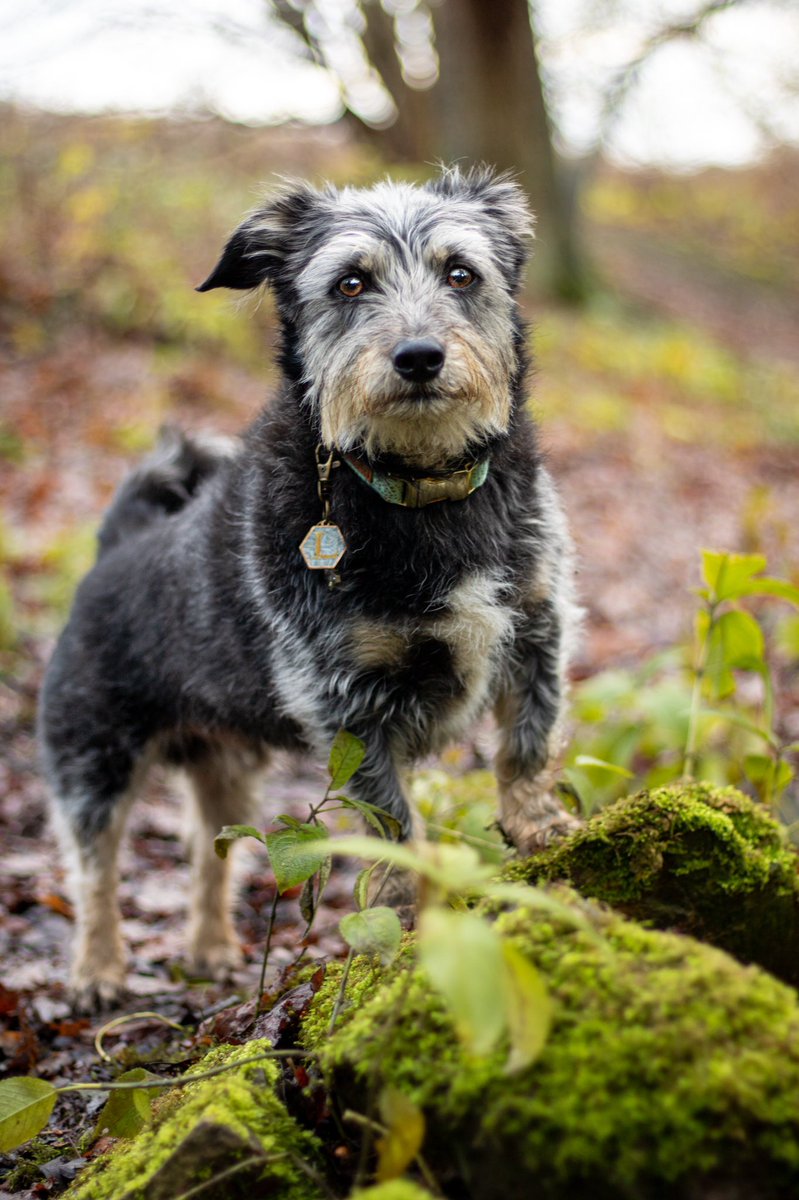 I love this pic of Lenny 💚