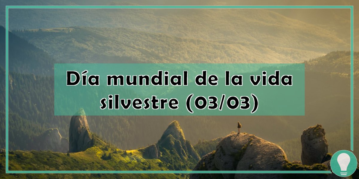 ♻ No te olvides de visitar nuetra tienda zero waste residuozeroconz.com
#residuocero #residuoceroencasa #residuoceroespaña #residuoceromadrid #zerowaste #zerowasteespaña #basuracero #basuraceroespaña #tiendaresiduocero