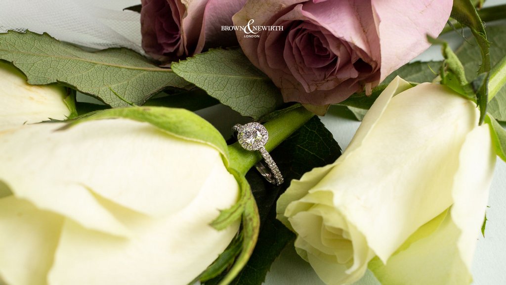 BrownNewirth's tweet image. The collection that features all kinds of dreamy diamond shapes, sizes and cuts ~ Bloom 🌷

Shop here: brownandnewirth.com/collection/blo…

#engagementring #engagement #diamondshape #diamondcut