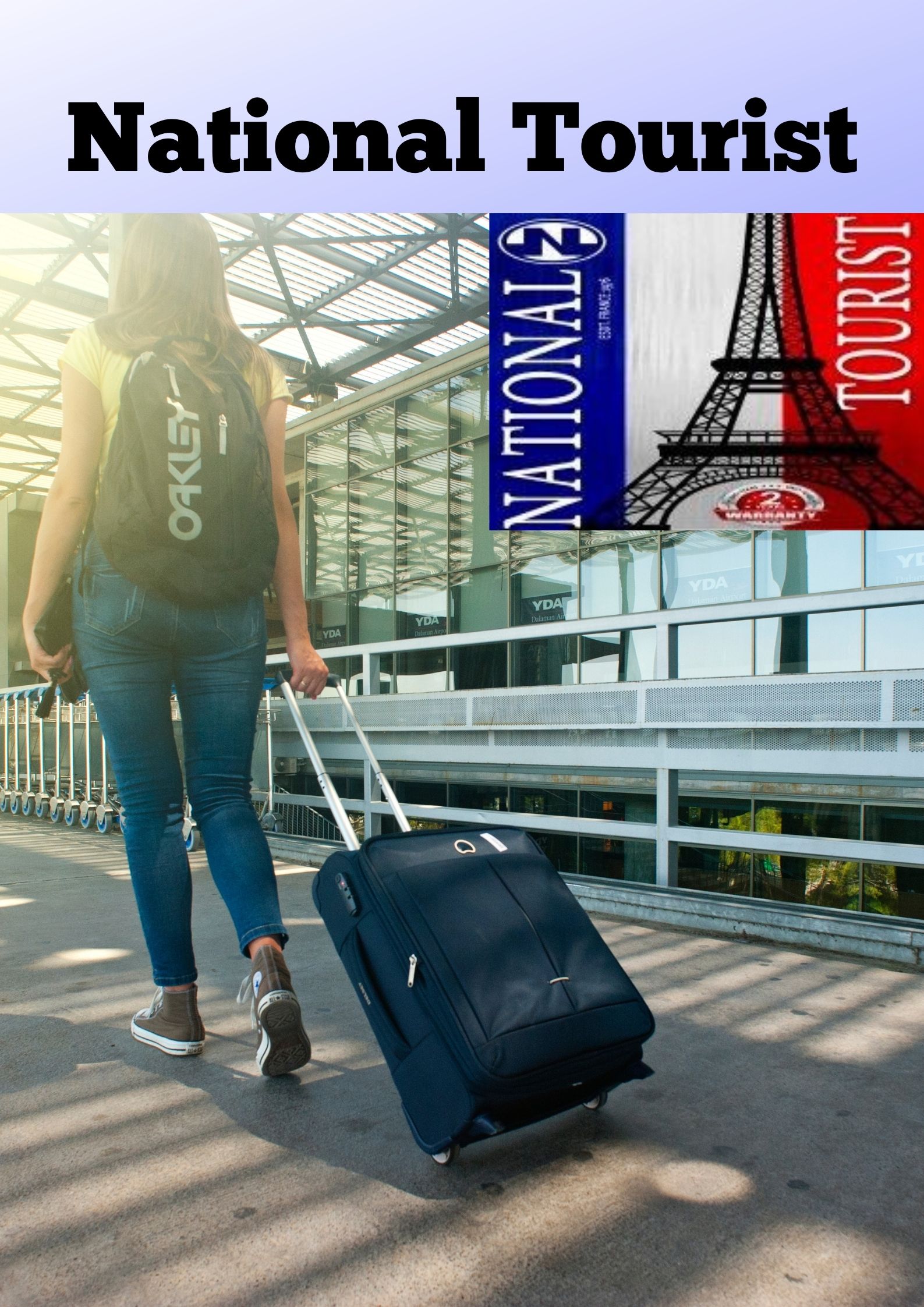 National sales tourist luggage