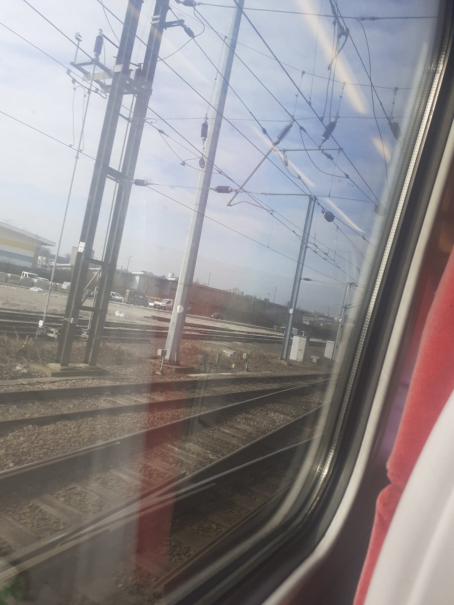 Noa Pallister tweet media