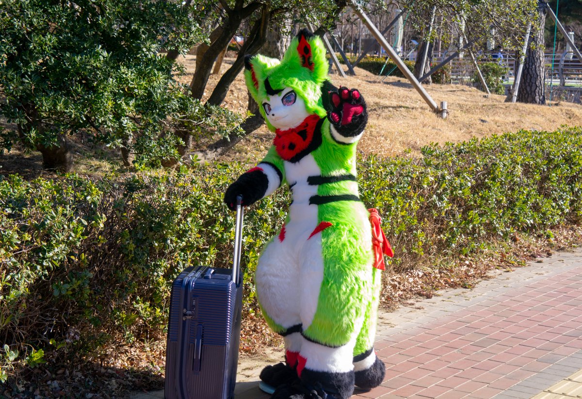 Anbur_Furry's tweet photo. 사진사는 여기있어~
스이카는 갈꺼야!
#fursuit #zerokemo https://t.co/NeGvUccryU