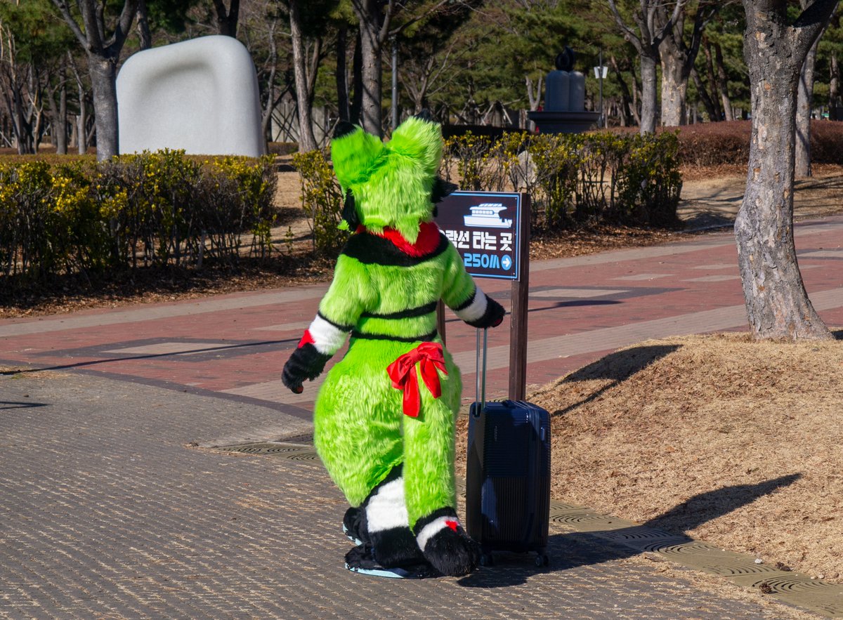 Anbur_Furry's tweet photo. 사진사는 여기있어~
스이카는 갈꺼야!
#fursuit #zerokemo https://t.co/NeGvUccryU