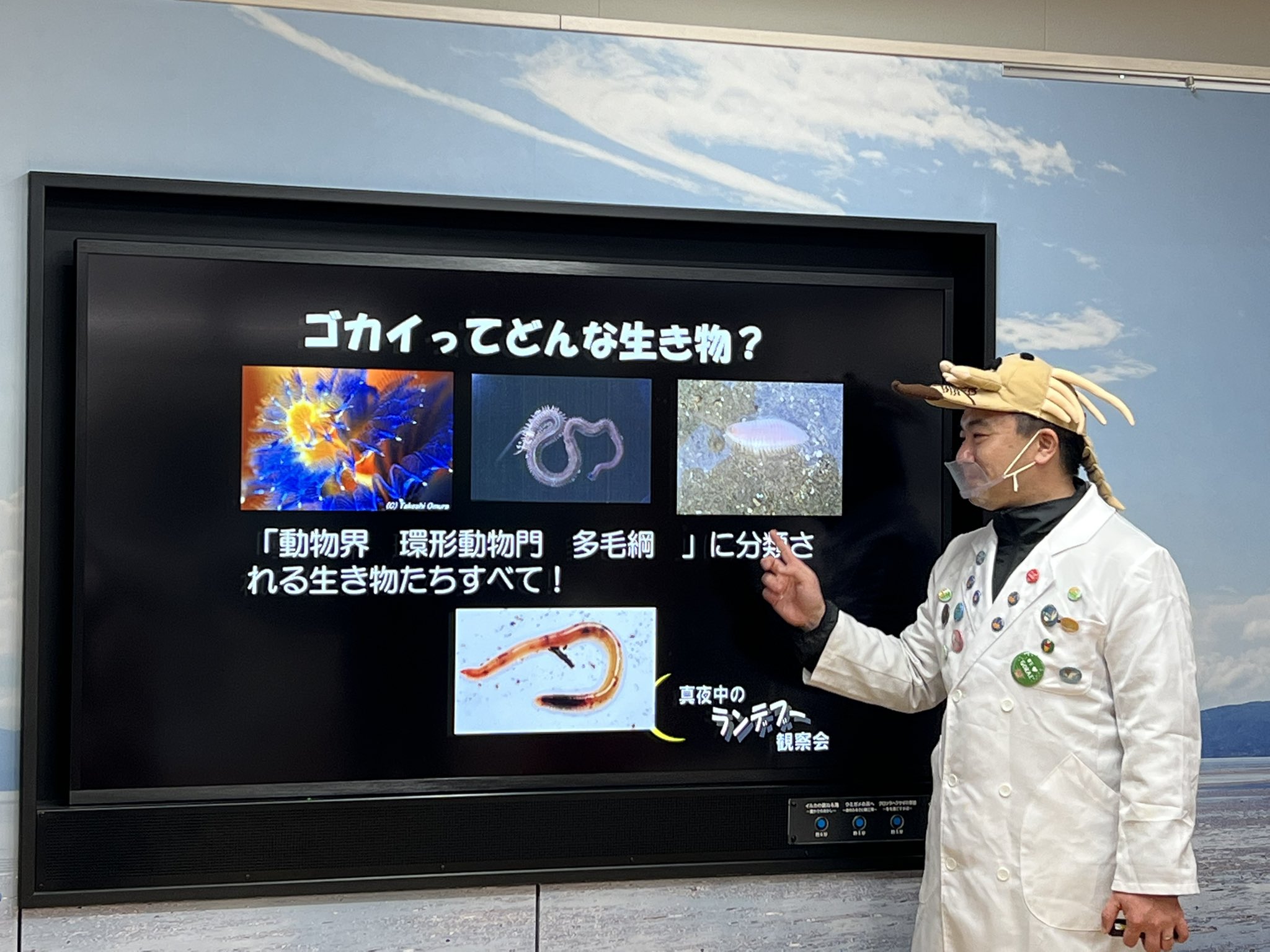 Tweets With Replies By Npo法人くすの木自然館 公式 Kusunokishizen1 Twitter