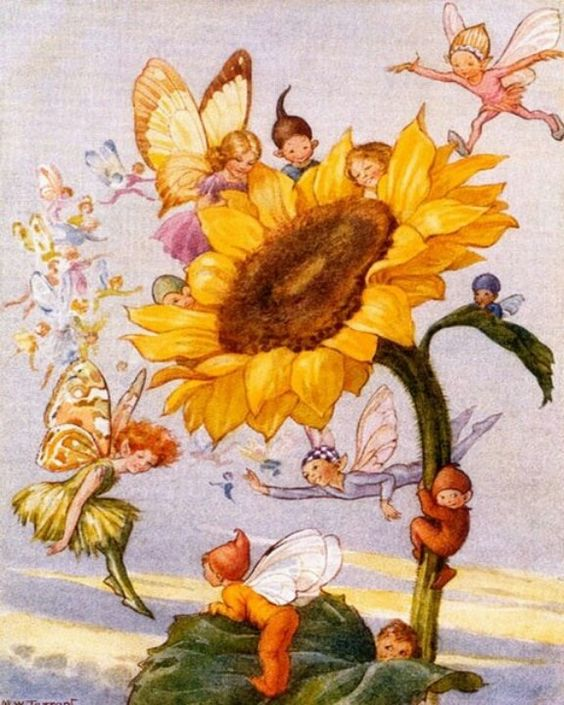 P_J_Richards's tweet photo. 🍀🌻🍀Sunflower lore:
Plant them around your home to bring good fortune. 
Pick a flower at sunset and wear it for good luck the following day.
Seeking the truth about something? sleep with a flower under your pillow - the answer will be revealed before sunset. 
#FolkloreThursday https://t.co/tF3Dk83NZ8