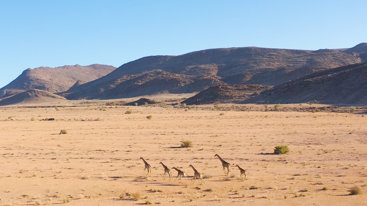 SandfonteinLodg's tweet photo. We are delighted to be working in partnership with @CNJohansens to offer the chance to win 3 nights’ all-inclusive stay for 2 at Sandfontein Lodge &amp; Nature Reserve. Follow the link here:
https://t.co/Ae8Nd9GyJe https://t.co/gy4eV7itLr
