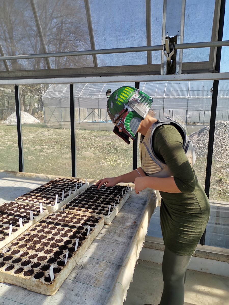 Carnival-pretend Boba Fett in the glass-house!