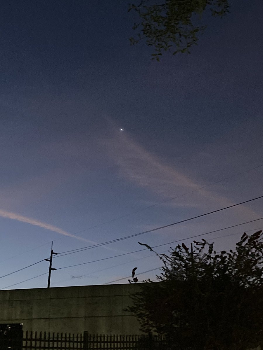 MOSI in Motion tweet media