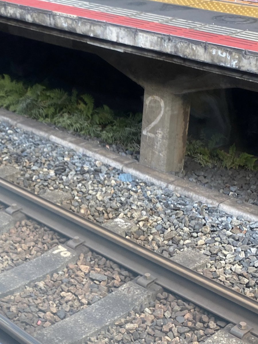 tebukuro7188's tweet photo. トムハンクス🚃

#片手袋

@tomhanks

🐸 https://t.co/NMErVwPK8j