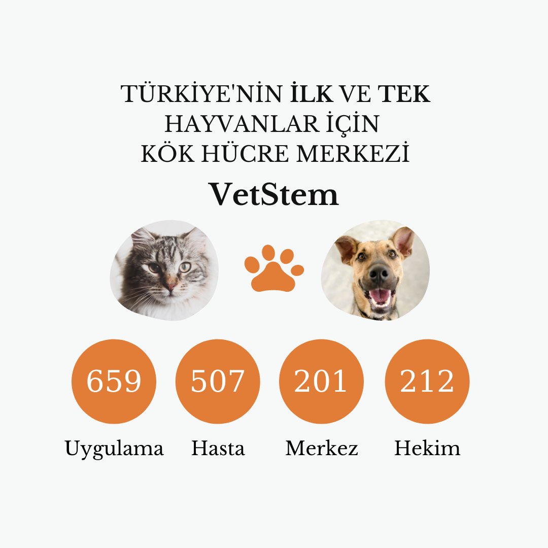 _VetStem_ (@_vetstem_) on Twitter photo Akademik kadromuz ve deneyimli Ar-Ge personelimiz ile minik dostlarımızın sağlığı ve mutluluğu için yanlarındayız.🐱🐶
•
Bilgi almak için:
📲 0216 527 27 52
📧info@vetstem.com.tr
💻vetstem.com.tr
•
#vetstem #kökhücre #kökhücretedavi #kökhücretedavisi Akademik kadromuz ve deneyimli Ar-Ge personelimiz ile minik dostlarımızın sağlığı ve mutluluğu için yanlarındayız.🐱🐶
•
Bilgi almak için:
📲 0216 527 27 52
📧info@vetstem.com.tr
💻vetstem.com.tr
•
#vetstem #kökhücre #kökhücretedavi #kökhücretedavisi